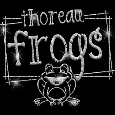 GLT90 SILVER GLITTER Thumbnail